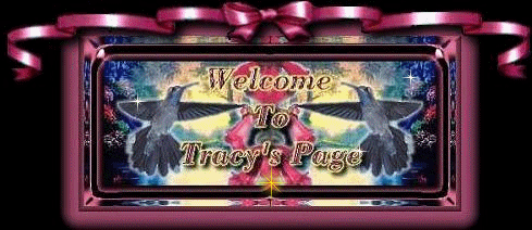 Tracy's Welcome Banner